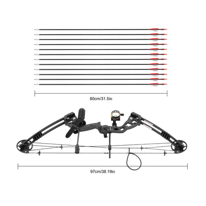 Right Handed Compound Bow Kit Adults and Teens with 12 Arrows 30-60lbs Adjustable