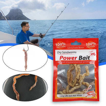 Dry Sandworms Fishing Lures